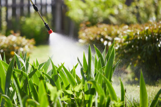 24/7 Emergency Ant Control experts in Norfolk, VA
