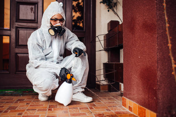 Reliable Ant Control contractor in Norfolk, VA by Nex Pest Control